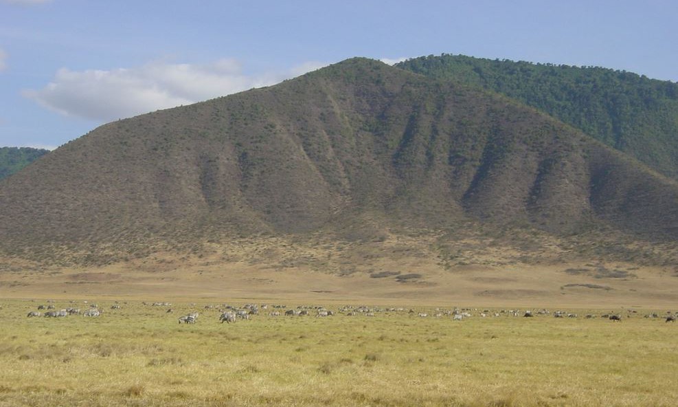 Стада животных в Нгоронгоро