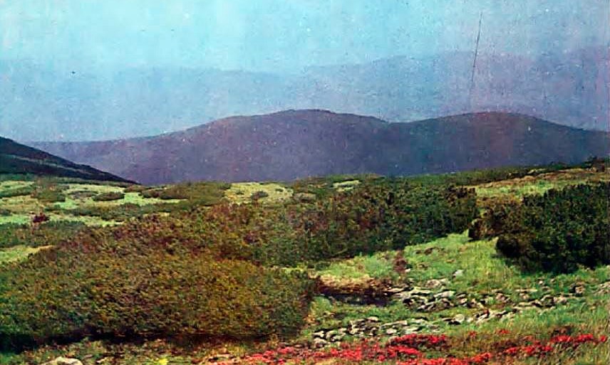 Субальпийский пояс на массиве Черногора